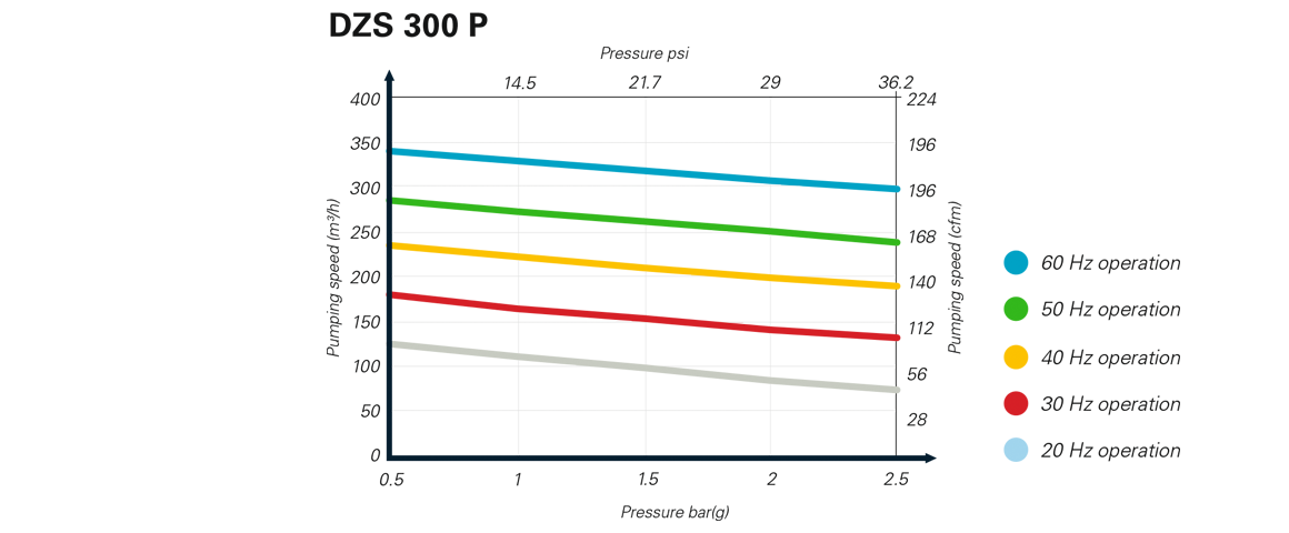 DZS 300 P爪式真空泵 DZS 300 P爪式真空泵